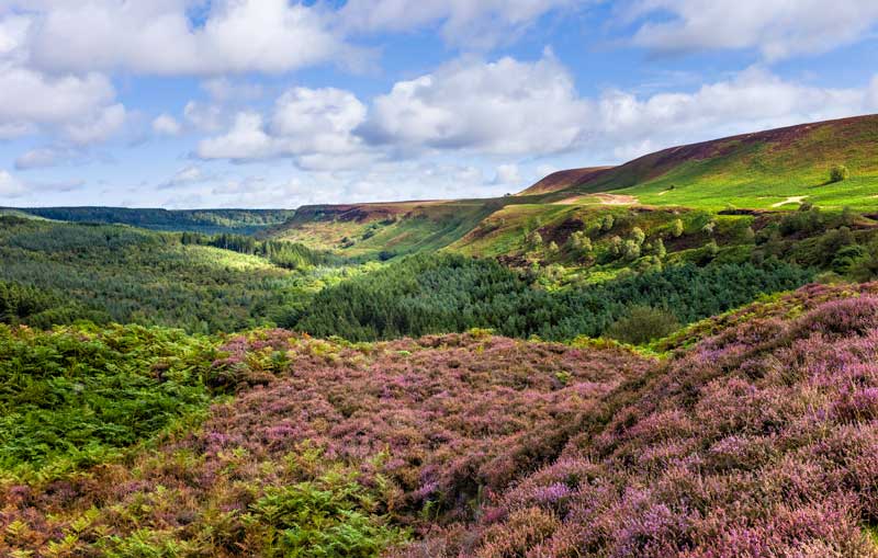 yorkshire-moors